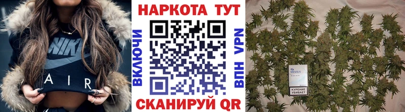 Что такое Жуков ГАШИШ СОЛЬ Мефедрон Конопля Псилоцибиновые грибы КОКАИН
