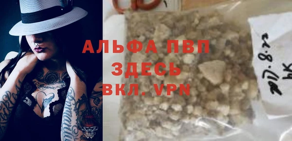 ECSTASY Богородицк