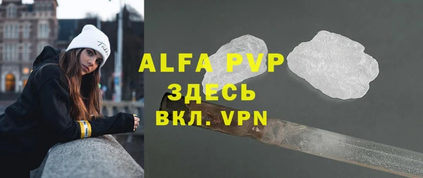 a pvp Бородино