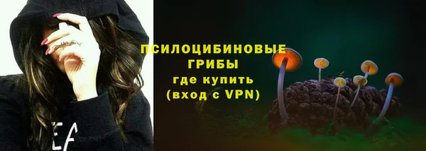 a pvp Бородино