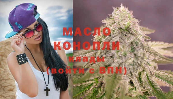 a pvp Бородино