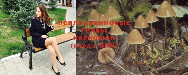 a pvp Бородино