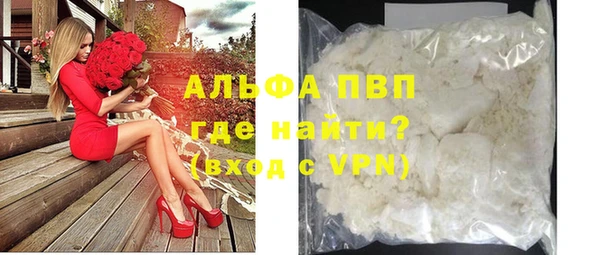 a pvp Бородино